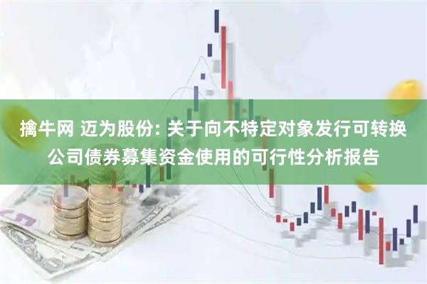 擒牛网 迈为股份: 关于向不特定对象发行可转换公司债券募集资金使用的可行性分析报告