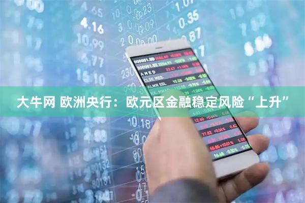 大牛网 欧洲央行：欧元区金融稳定风险“上升”