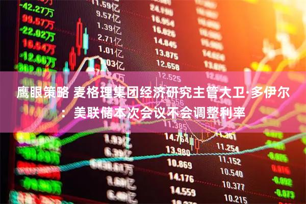 鹰眼策略 麦格理集团经济研究主管大卫·多伊尔：美联储本次会议不会调整利率